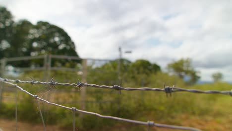 Barbwire-on-a-farm-with-cobweb-wide-shot