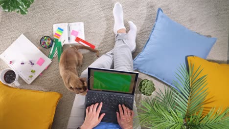 work from home. girl sitting on the floor with laptop computer and burmese cat. woman working on laptop in home office. view from above. online distance learning, education, shopping and work concept