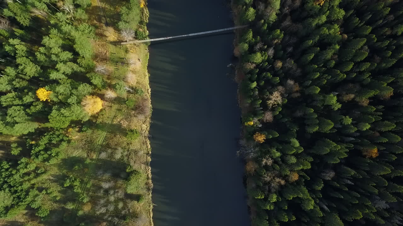 río de otoño y bosque vista aérea con puente