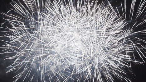 espectáculo de fuegos artificiales coloridos por la noche
