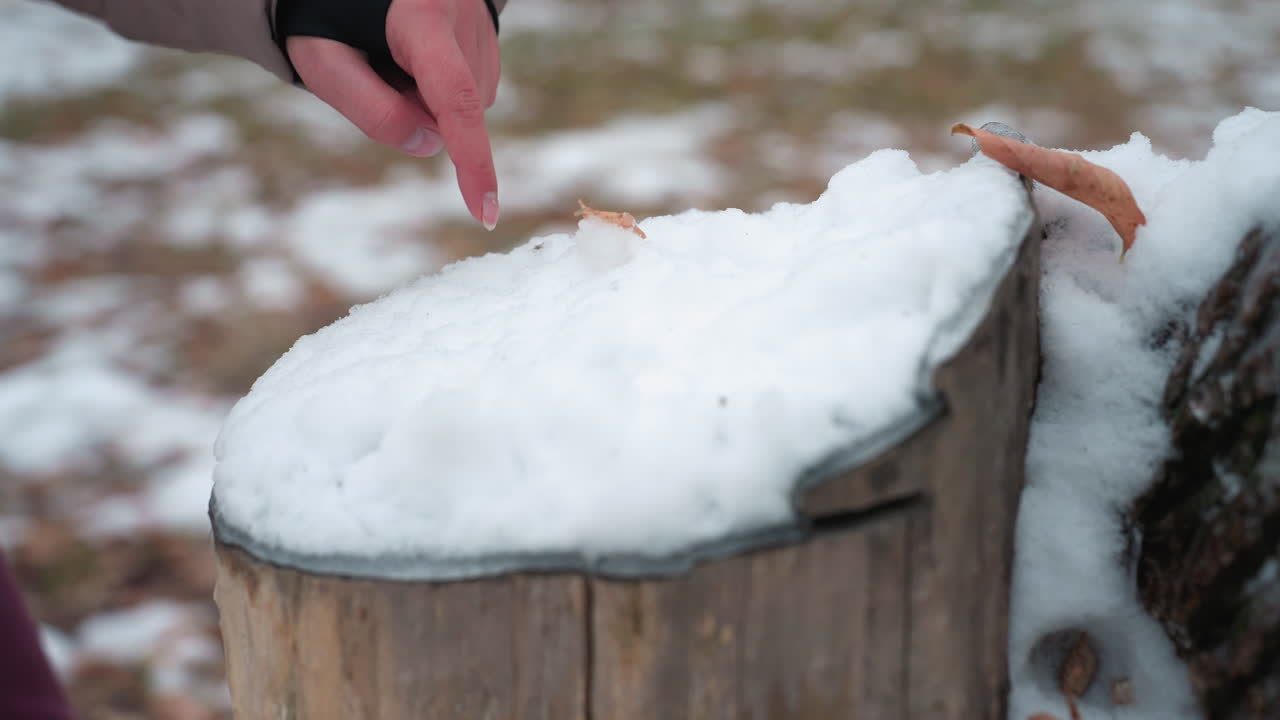 primer plano de la mano de la mujer en el traje de invierno presionando en la nieve suave y fresca en el tronco de madera, paisaje cubierto de nieve con hojas secas esparcidas en el fondo