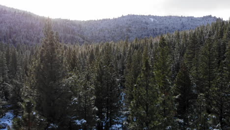 Drone-flying-over-snowy-forest