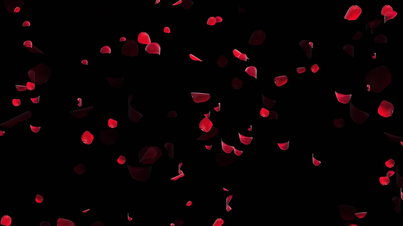 Red Rose Petals Falling Animation