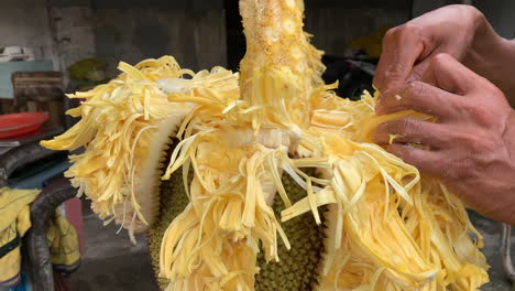 Close-up-shots-of-a-ripe-yellow-jack-fruit-while-it-is-being-cut-and-shave