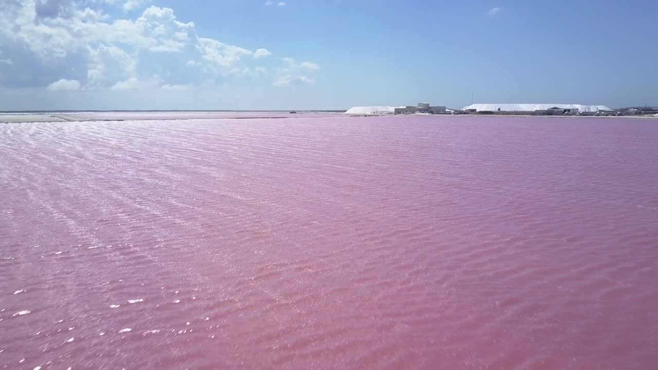 AERIAL: Pink Lake in Mexico to Produce Salt