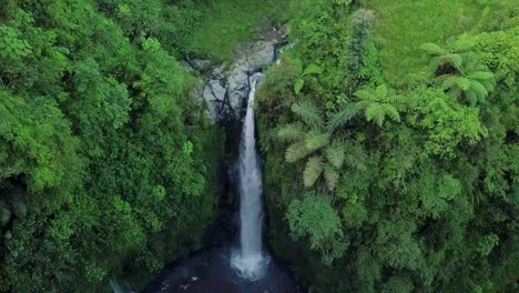 drone shot of nature view of waterfall with surrounded by dense of trees