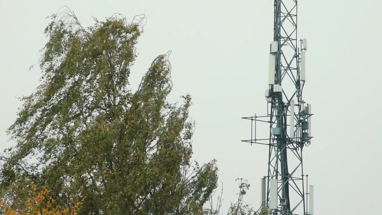 Un'alta torre di comunicazione si erge accanto ad alberi con foglie autunnali vivaci, leggermente sfocati per mostrare il movimento