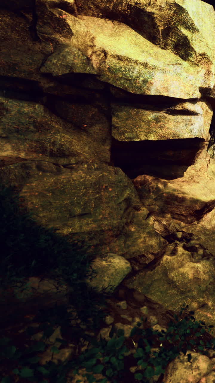 Rocce misteriose illuminate da luce soffusa in un ambiente forestale sereno