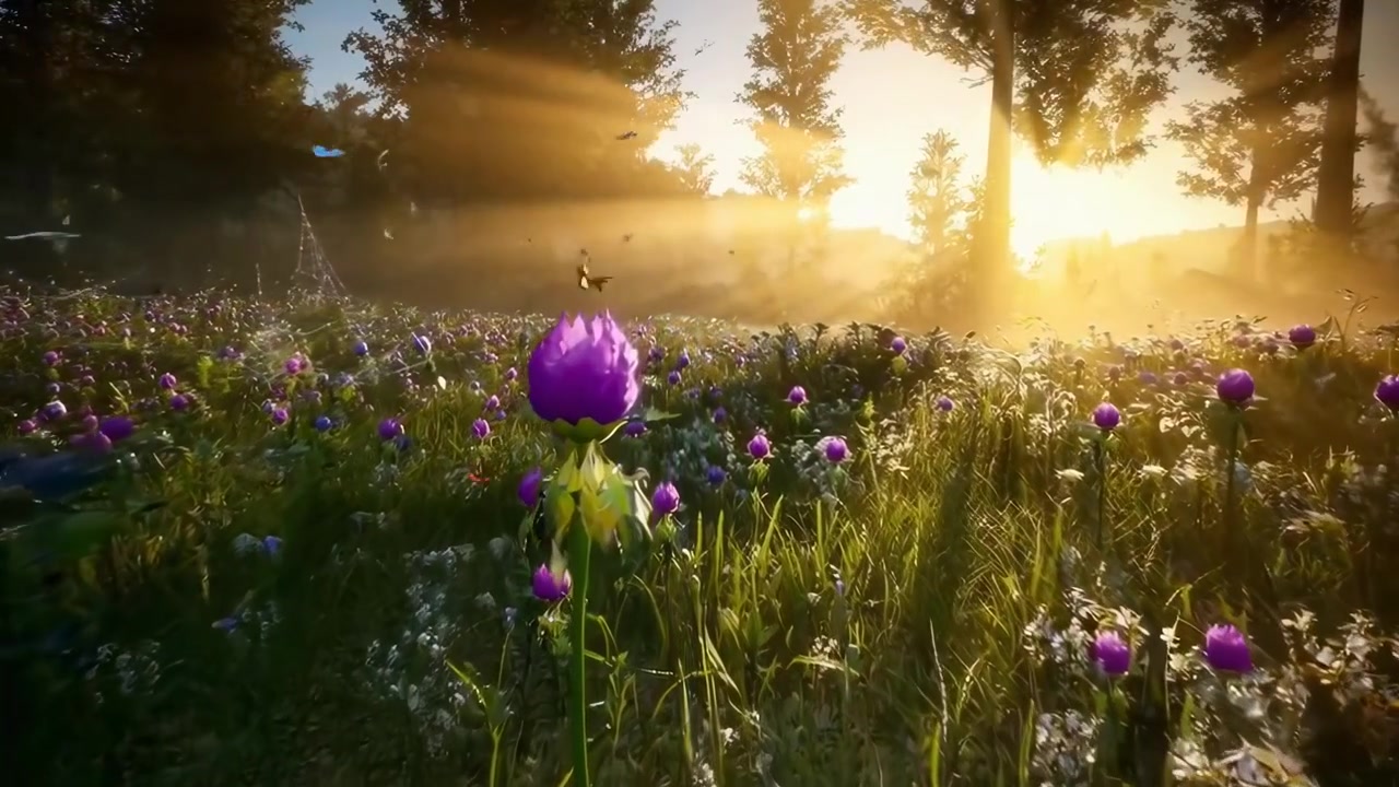 Butterflies Flying Over a Vibrant Flower Field at Golden Hour