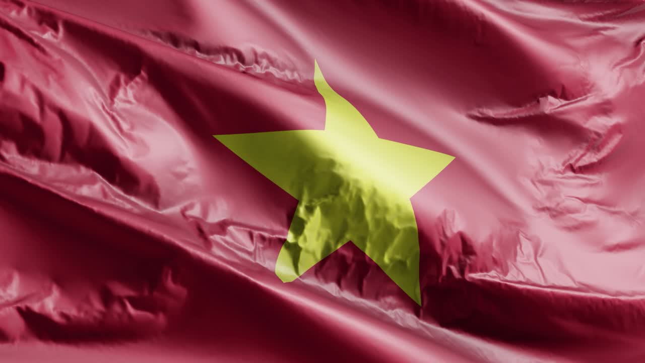 베트남 발이 바람에 흔들리며, 베트남의 발은 바람에 휘어지며, 배경은 완전히 채워지고, 10초의 루프가 있습니다.