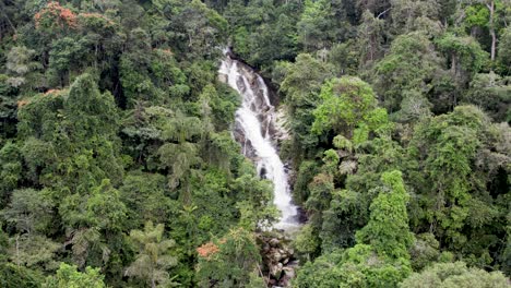 Drone-Captura-La-Cascada-En-Medio-De-La-Densa-Jungla-En-Cámara-Lenta-Ubicada-En-La-Ciudad-De-Brinchang-En-Pahang,-Malasia