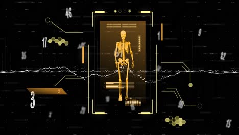 Animación-Del-Procesamiento-De-Datos-Y-Números-Sobre-El-Esqueleto-Caminando.