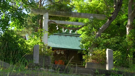 traditional japanese shrine gate (torii) amidst lush greenery