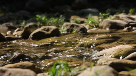 Un-Pequeño-Arroyo-Que-Fluye-Sobre-Rocas-En-La-América-Rural