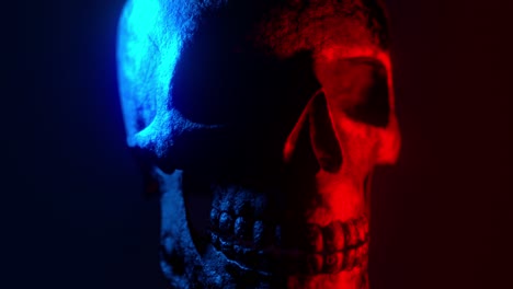 neon skull