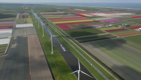 Paisaje-Típico-Holandés-Con-Molinos-De-Viento-De-Energía-Renovable,-Canal-Y-Campo-De-Tulipanes