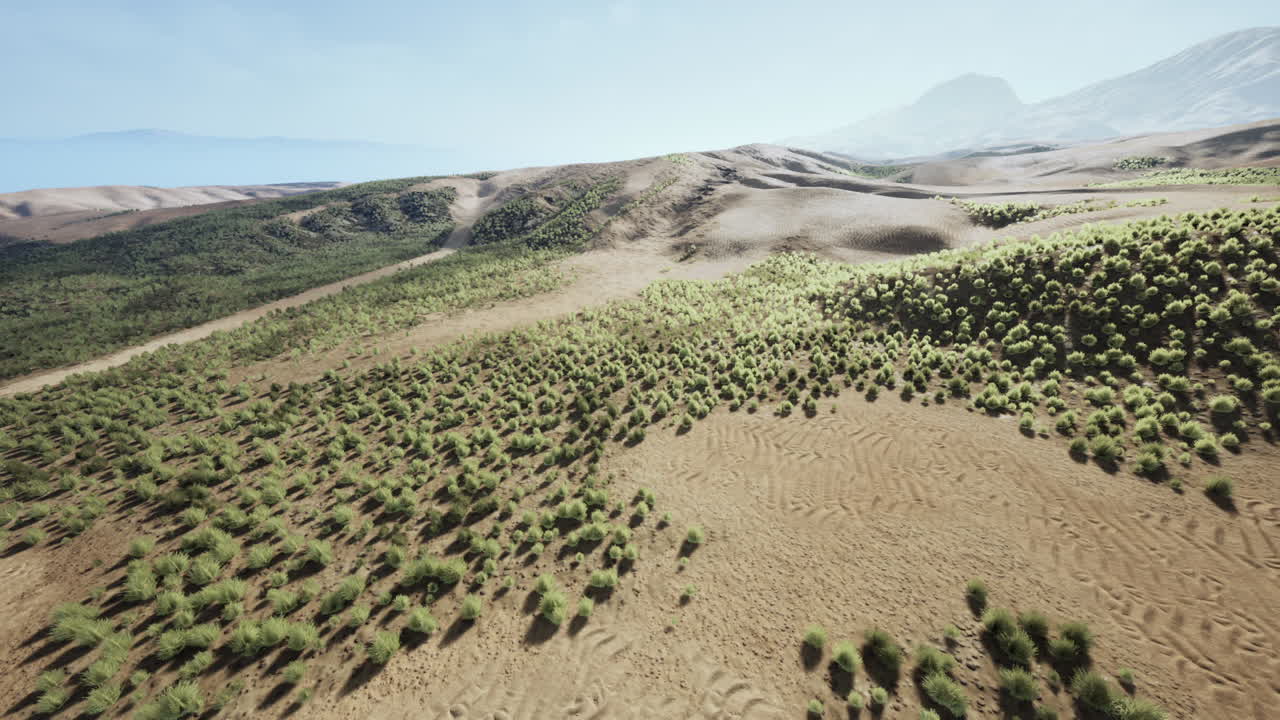 Desert landscape with low bushes surrounded by mountains under clear sky