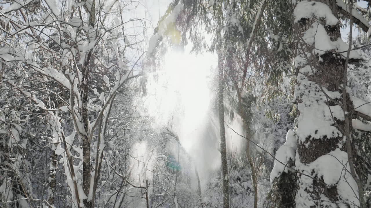 Slow Motion Dolly shot with an Electronic Gimbal showing winter forest with snow falling and sunshine through the trees creating a lens flare effect