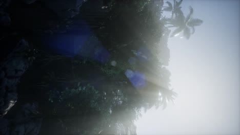 sunset beams through palm trees