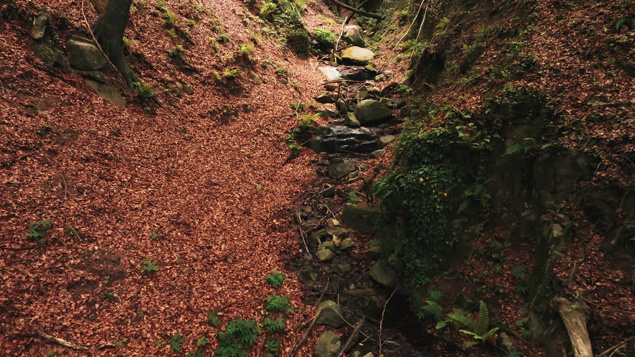 una estrecha corriente de agua en un profundo valle forestal en españa, vista aérea
