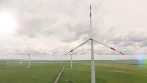 alternative energy produce concept with copyspace