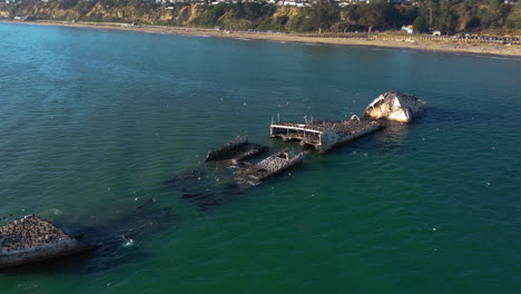 drone shot around a sunken ship full of birds, in sunny california, usa