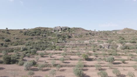 Vista-Aérea-De-Los-Campos-De-Olivos