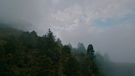 Immerse-yourself-in-this-ethereal-drone-footage-of-the-Yungas-cloud-forest,-where-a-sea-of-fog-weaves-through-verdant-treetops,-creating-a-dreamlike-landscape-that-captivates-and-enchants