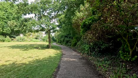 a serene walk through a lush park