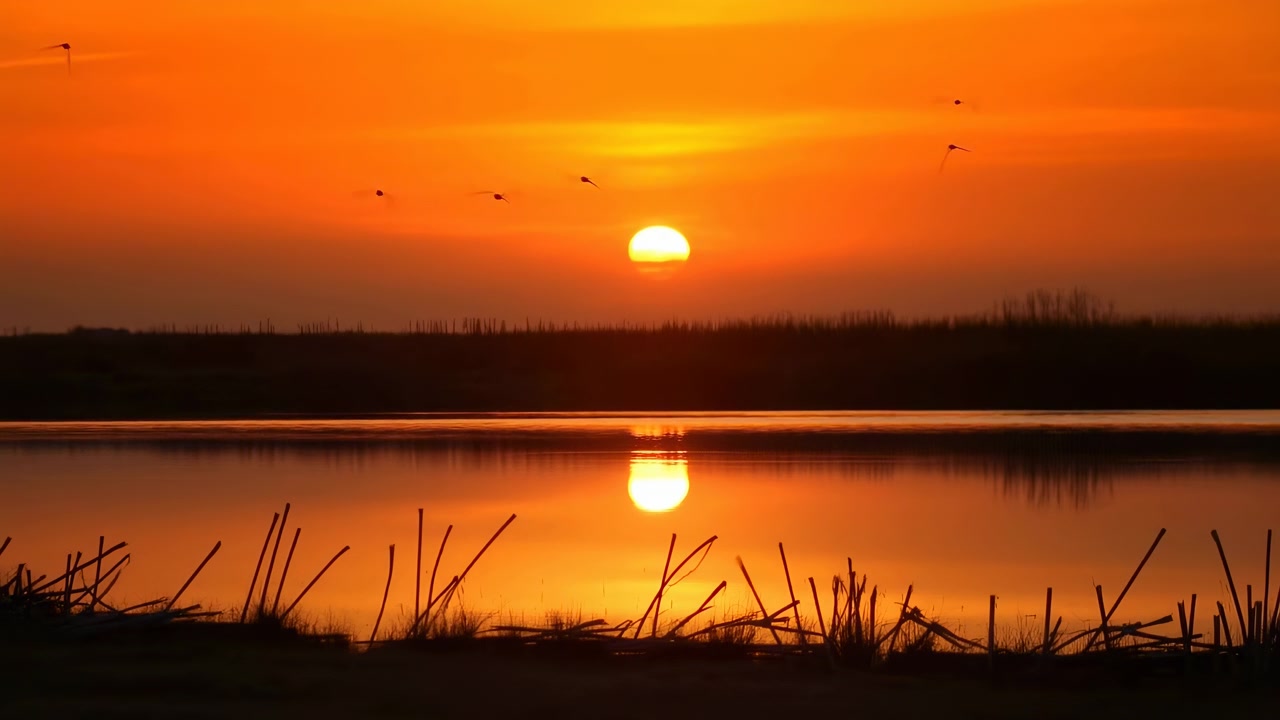 Matala aurinko horisontin lähellä luo voimakkaan oranssinkultaisen vastavalon tyynen kosteikon yli. Voimakas pystysuora heijastus kohdistuu aurinkoon ja luo peilikuvan kaltaisen hehkun tyyneen veteen.