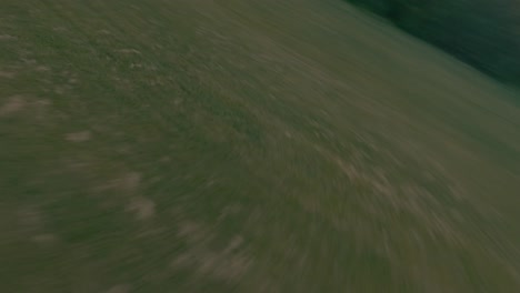 piloto fpv sentado en un tesla con gafas en la cabeza y volando estilo libre en un parque al atardecer
