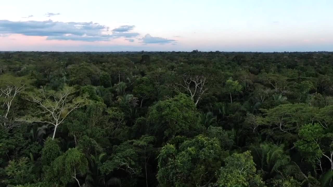 vista aérea de un avión no tripulado en perú ascendiendo en la selva amazónica mostrando el bosque de árboles verdes a su alrededor en un día nublado
