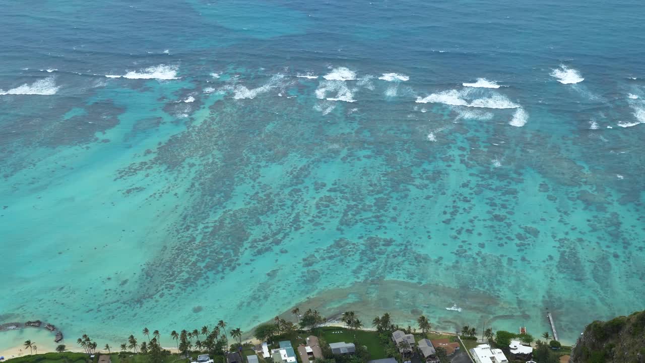 playa en hawaii con agua azul y coral de colores