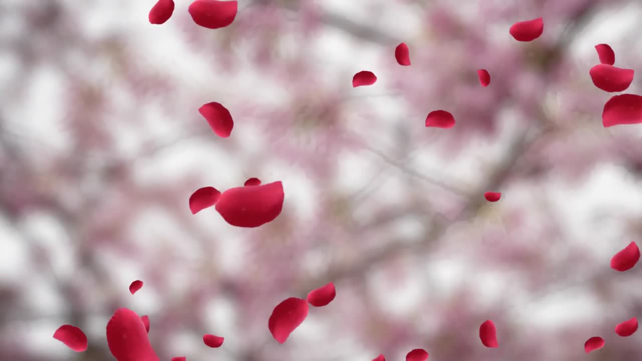 발렌타인 데이 축제