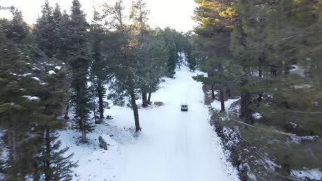 Paseo-Cubierto-De-Nieve