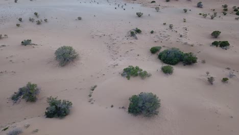 Outdoor-Natur-Drohne-Antennenschwenk-Nach-Oben,-Australien