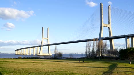 ponte vasco da gama bridge view from a garden park during the day