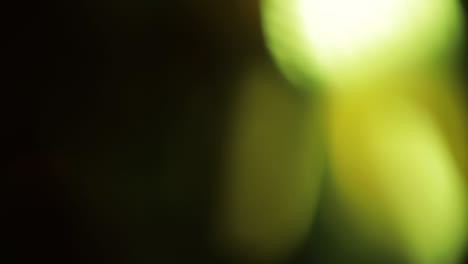 light leaks 4k footage. lens glow flare bokeh overlays, burn flame background. flash rays effect