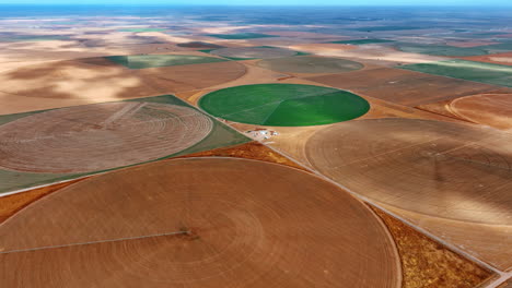 amazing huge field with circle farms. drone flight above the agricultural plantations with center pivot irrigation.