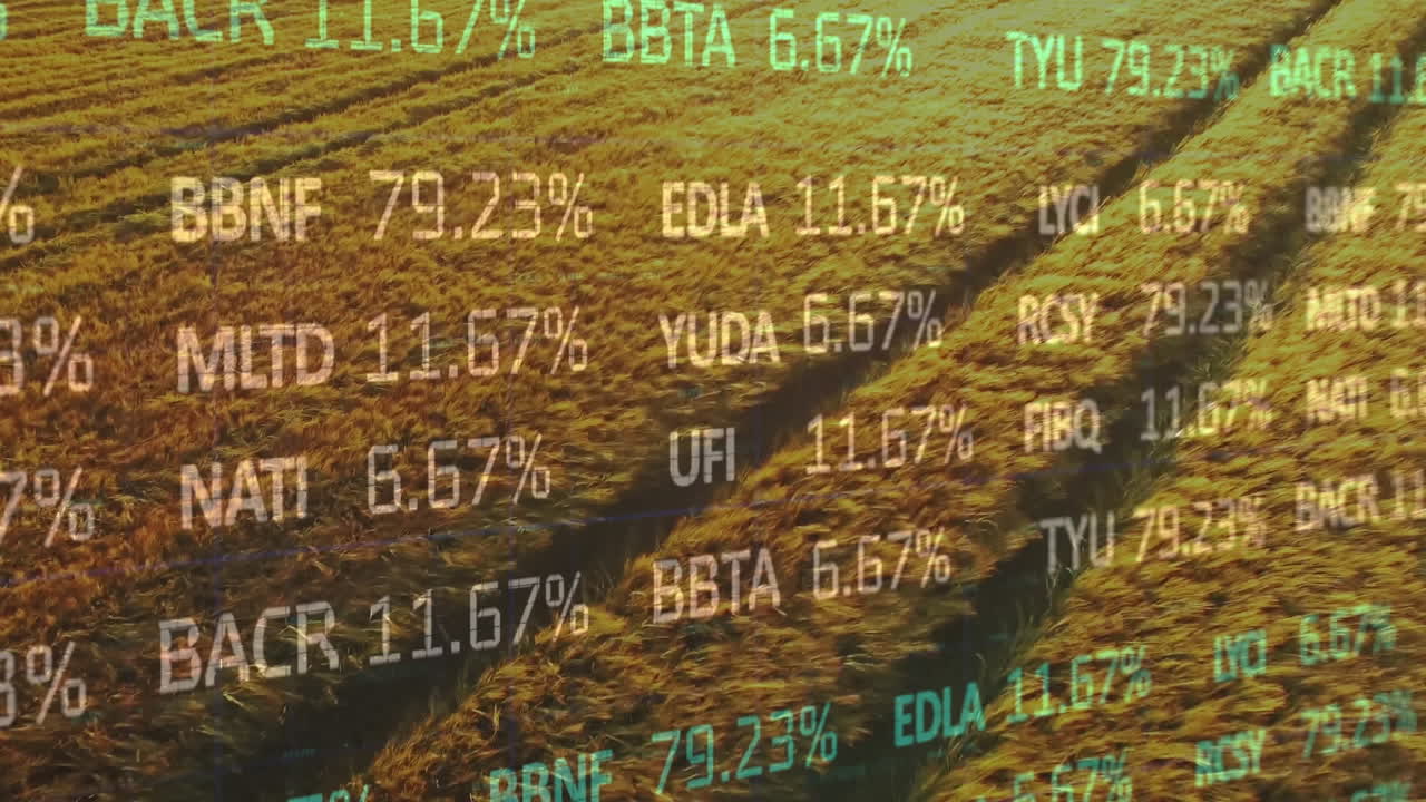Animation der Finanzdatenverarbeitung über einem Agrarfeld