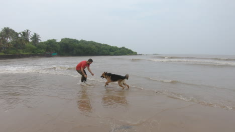 the friendship of dogs and their masters running merrily on the beach | german shepherd dog with owner playing on beach