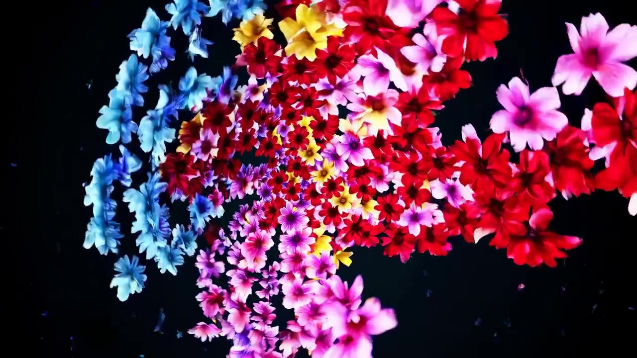 Flores e Pétalas Vibrantes e Coloridas Fluindo em Fundo Escuro