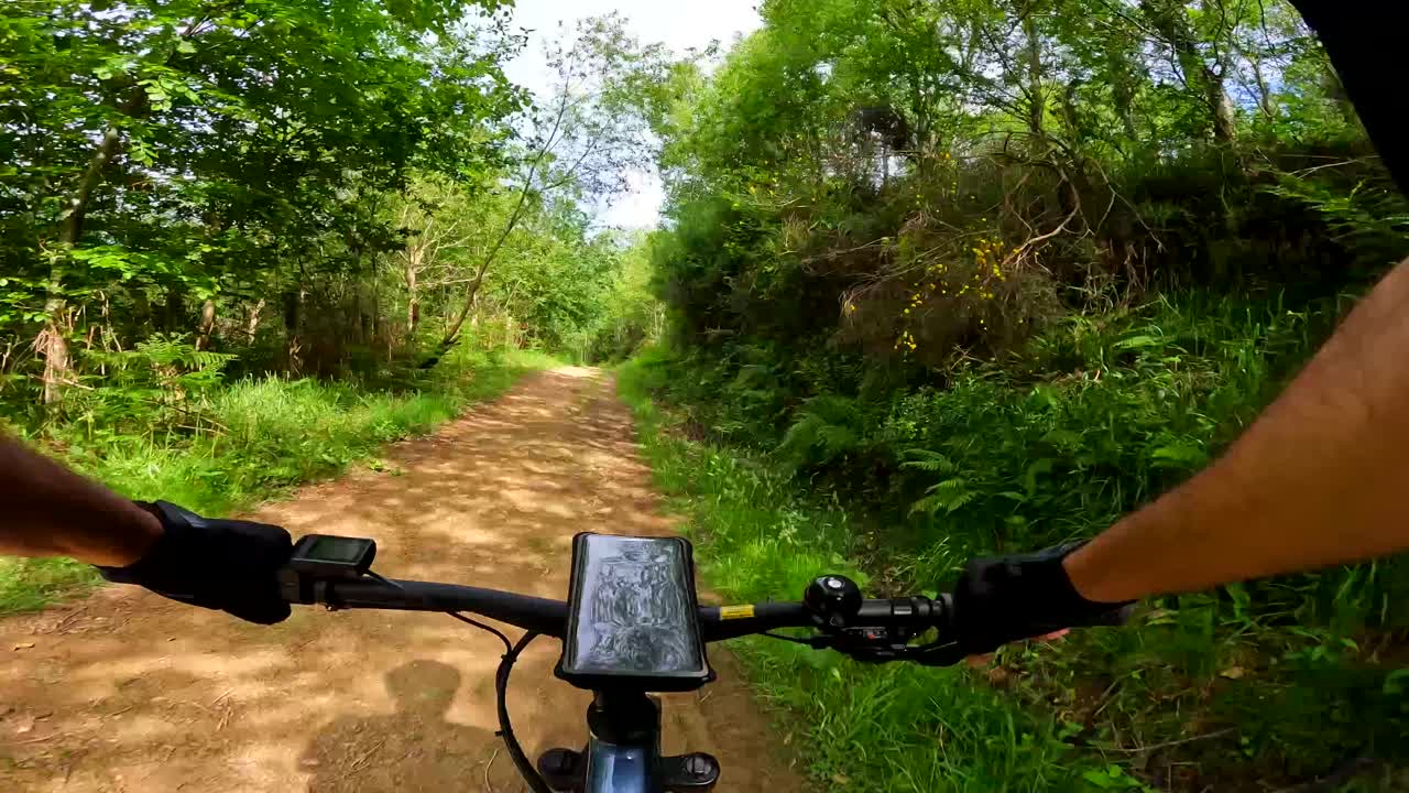 Mountain Biking on a Forest Trail