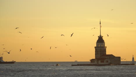 bosporus boat cruise next to maiden's tower during sunset in istanbul