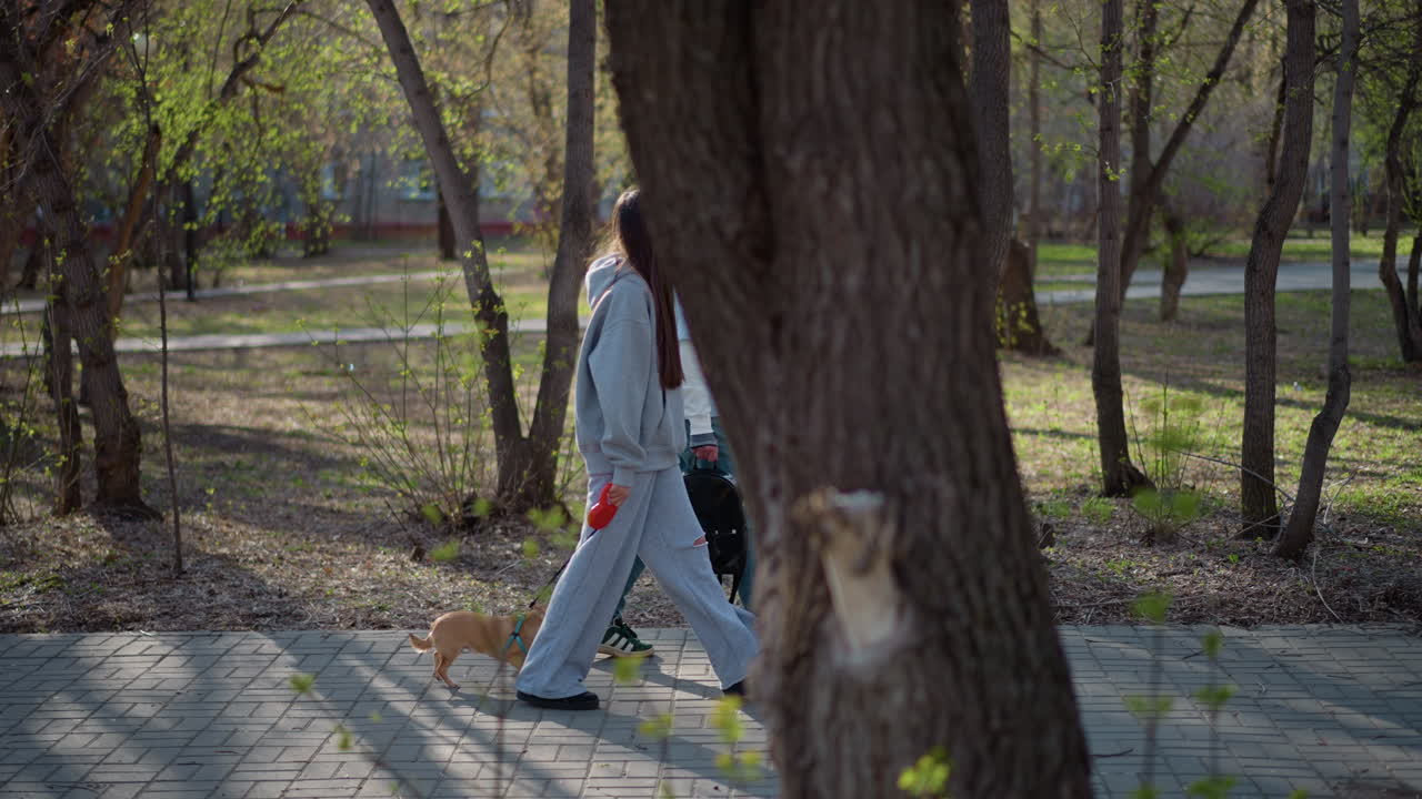 Compañeros de paseo por el parque, paseo relajado por el parque con amigos y un perro joven, un hombre menonita y una mujer asiática paseando tranquilamente a su perro pequeño entre hojas en brote y altos troncos de árboles