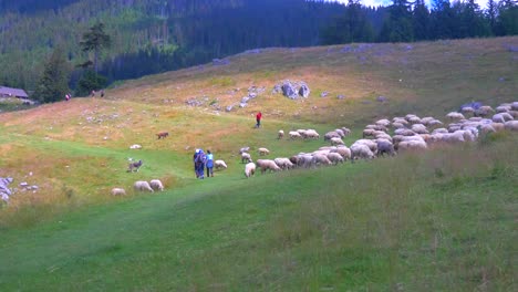 Pietra-Craiului,-País-De-Brasov,-Rumania,-Transilvania-4k