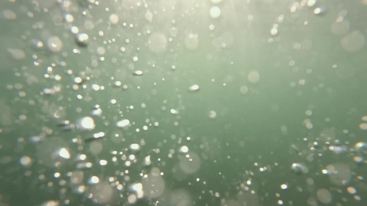 Many sparkling air bubbles floating and moving upwards through the dense green water, creating an abstract background texture