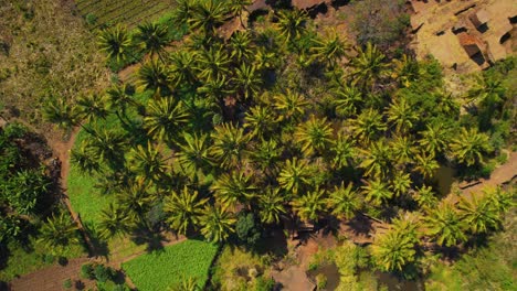 Vista-Aérea-De-La-Ciudad-De-Morogoro-En-Tanzania