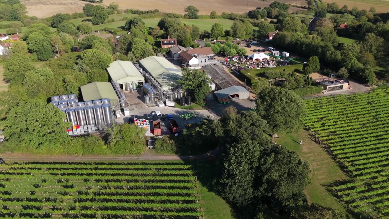 Aerial view of Chapel Down winery in English countryside. Vineyards and industrial production facility in Kent