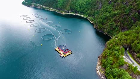 Aerial-footage-Farm-salmon-fishing-in-Norway